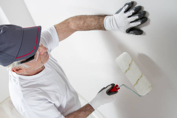 Best Basement Mold Removal  in Lexington, KY