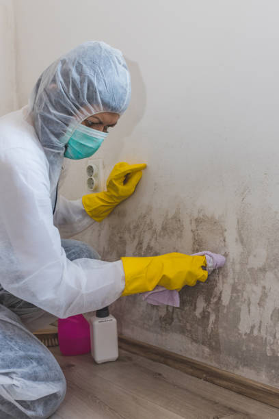Best Post-Remediation Verification Testing  in Lexington, KY