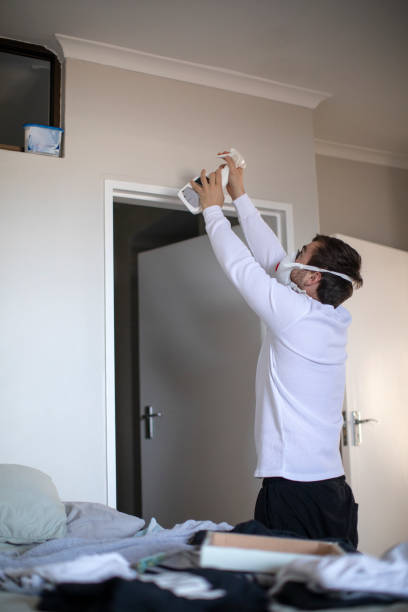 Best Mold Removal for HVAC Installations  in Lexington, KY
