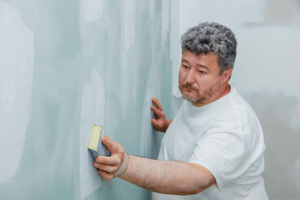 Best Emergency Mold Remediation  in Lexington, KY