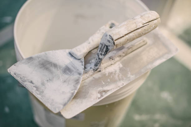 Best Post-Construction Mold Inspection  in Lexington, KY